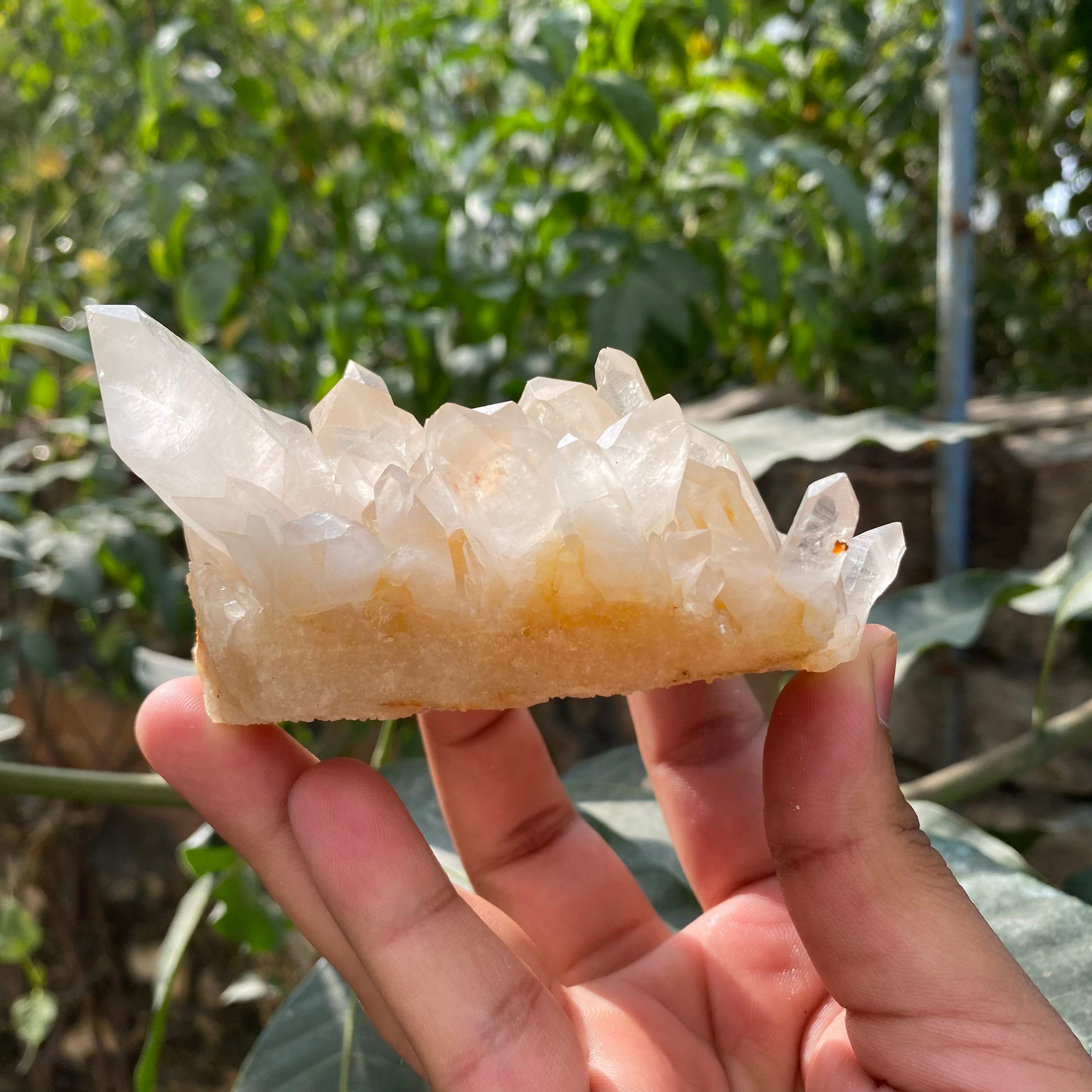 Natural Himalayan Yellow Quartz Crystal Cluster Raw Samadhi Healing Collector Stone