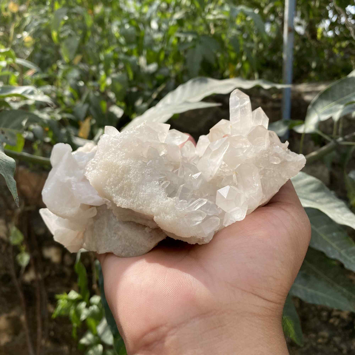 Natural Himalayan White Quartz Cluster 770g Display Mineral Piece