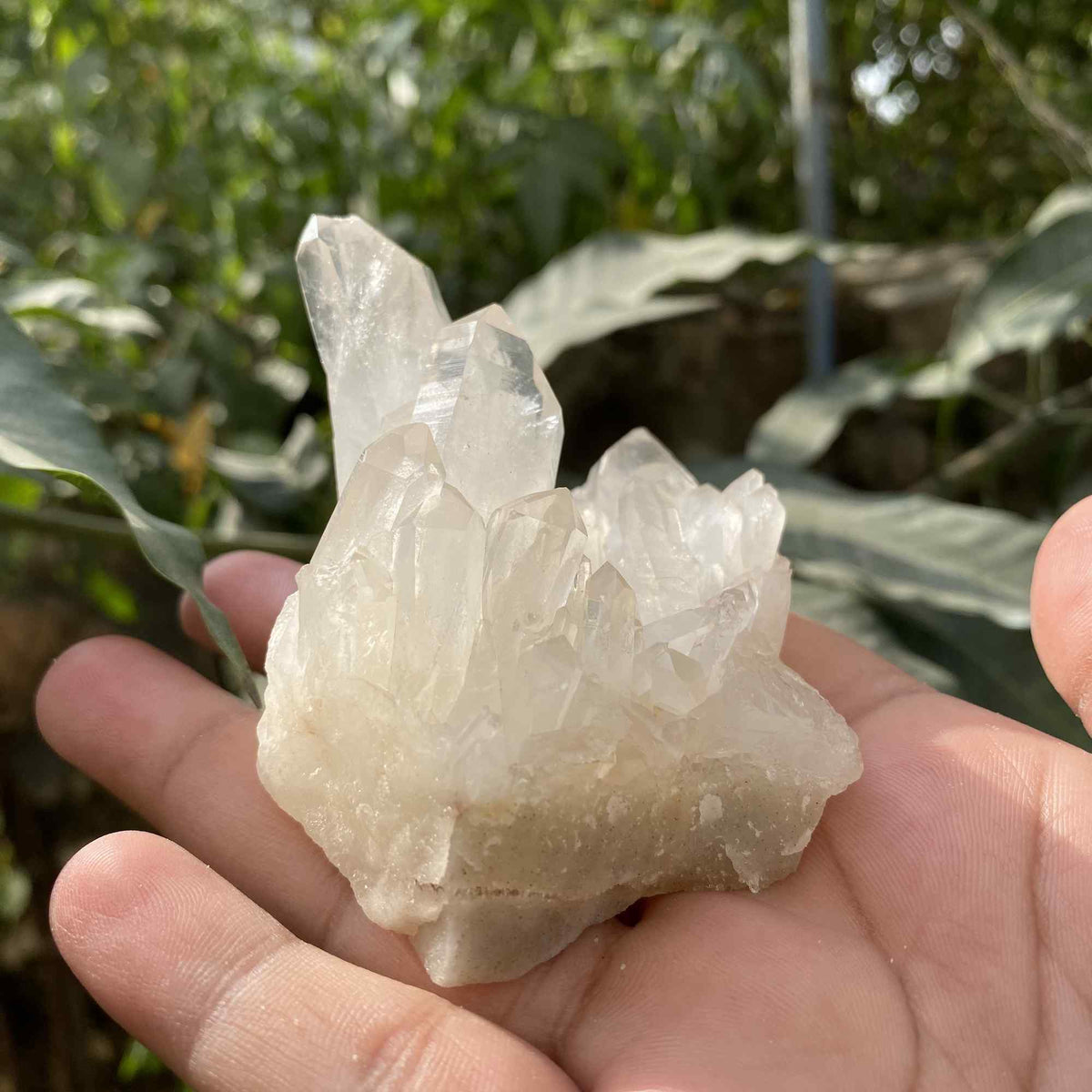 175g Natural White Himalayan Quartz Raw Cluster Display Specimen
