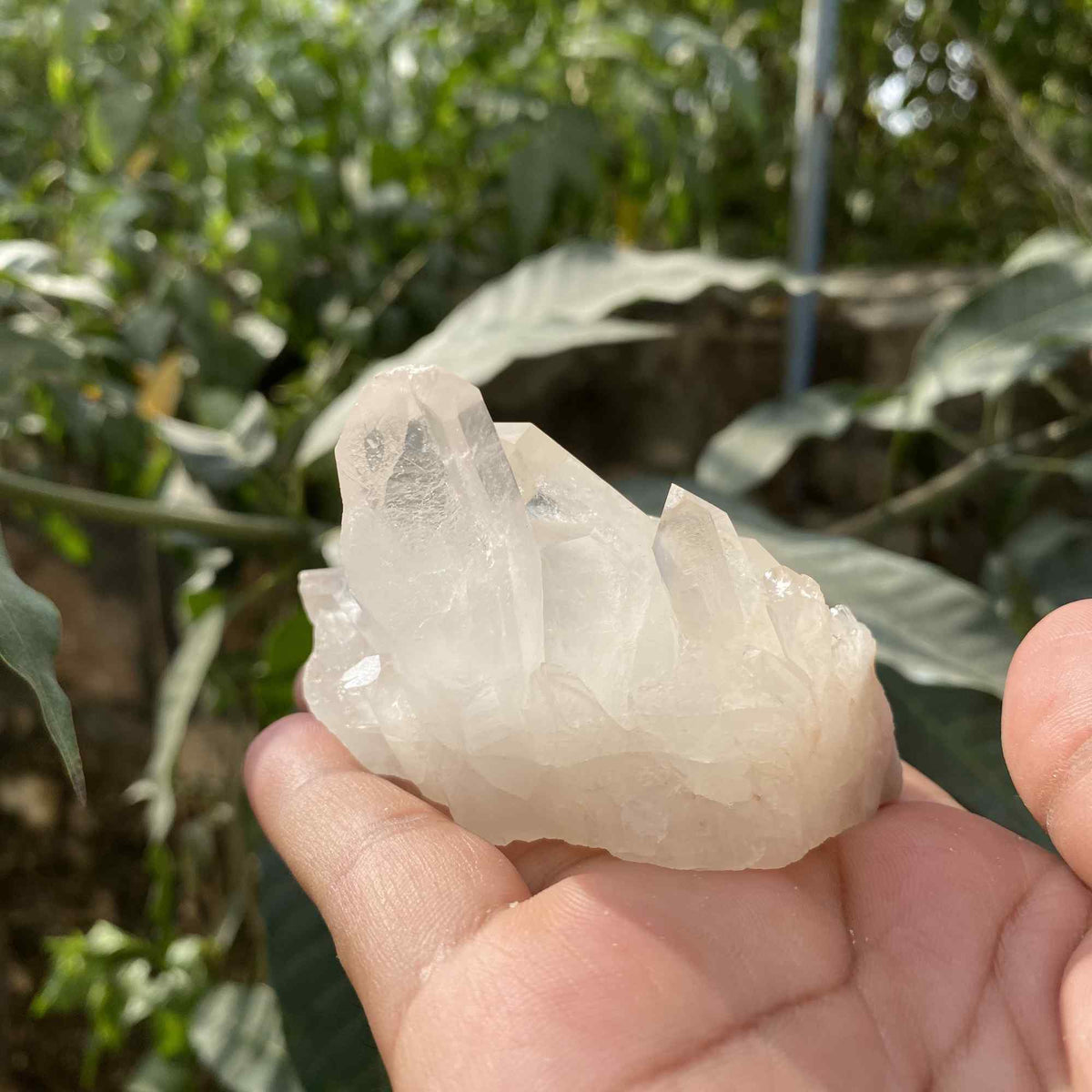 175g Natural White Himalayan Quartz Raw Cluster Display Specimen