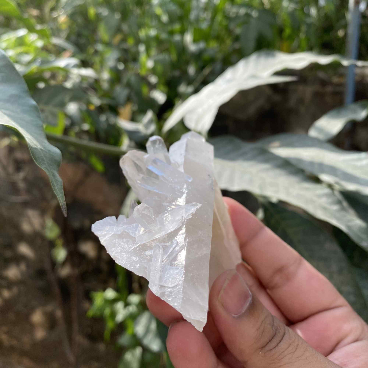 Himalayan White Quartz 385g Raw Cluster Natural Collector Specimen