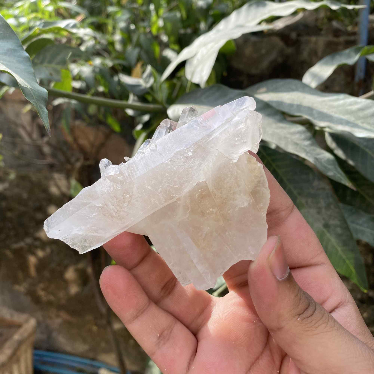 Himalayan White Quartz 385g Raw Cluster Natural Collector Specimen
