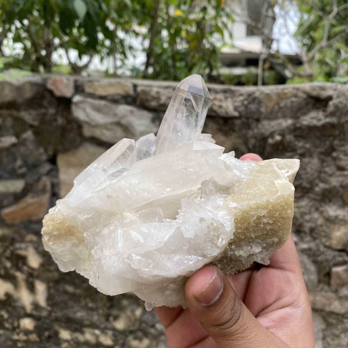 Natural Himalayan White Yellow Quartz Raw Cluster Collector Mineral