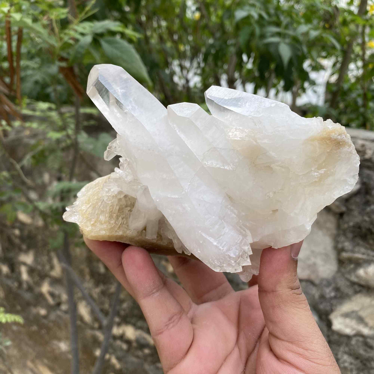 Natural Himalayan White Yellow Quartz Raw Cluster Collector Mineral