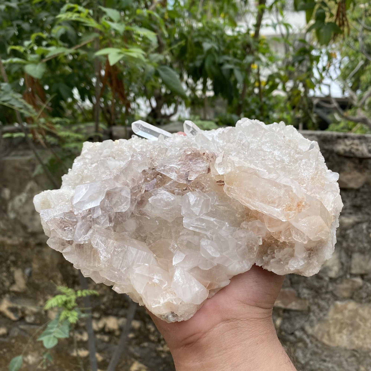 Pink White Himalayan Quartz Raw Natural Cluster Collector Specimen