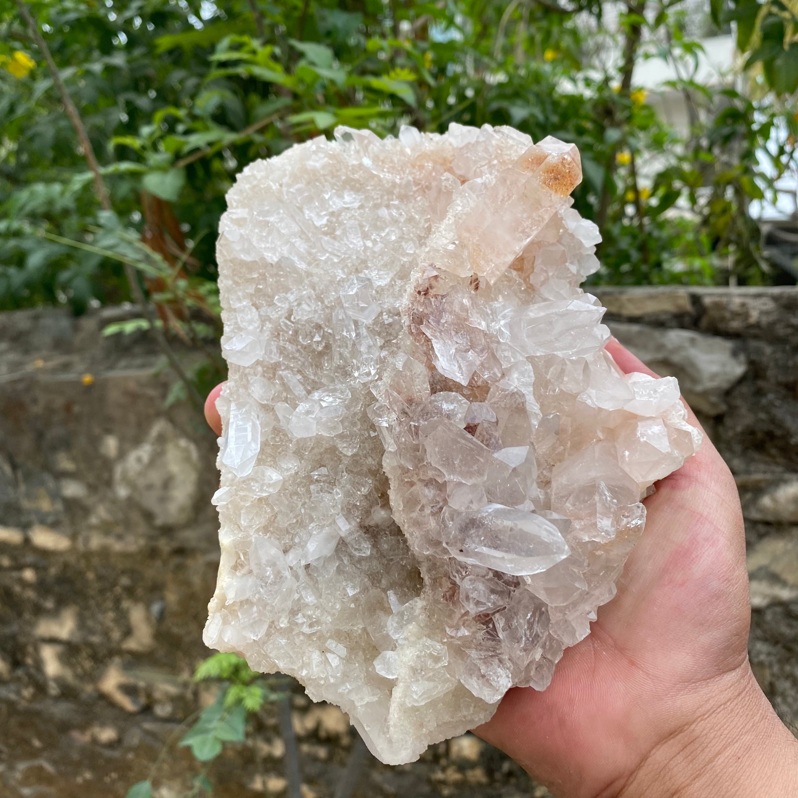 Pink Samadhi Quartz Crystal Cluster Healing Himalayan Energy Natural Display