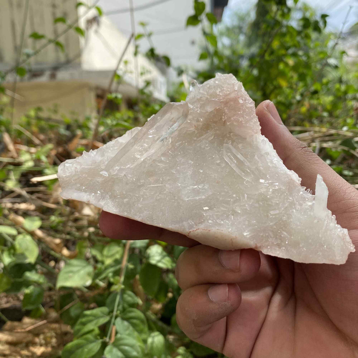 White Himalayan Quartz Natural Display Raw Cluster Collector Specimen