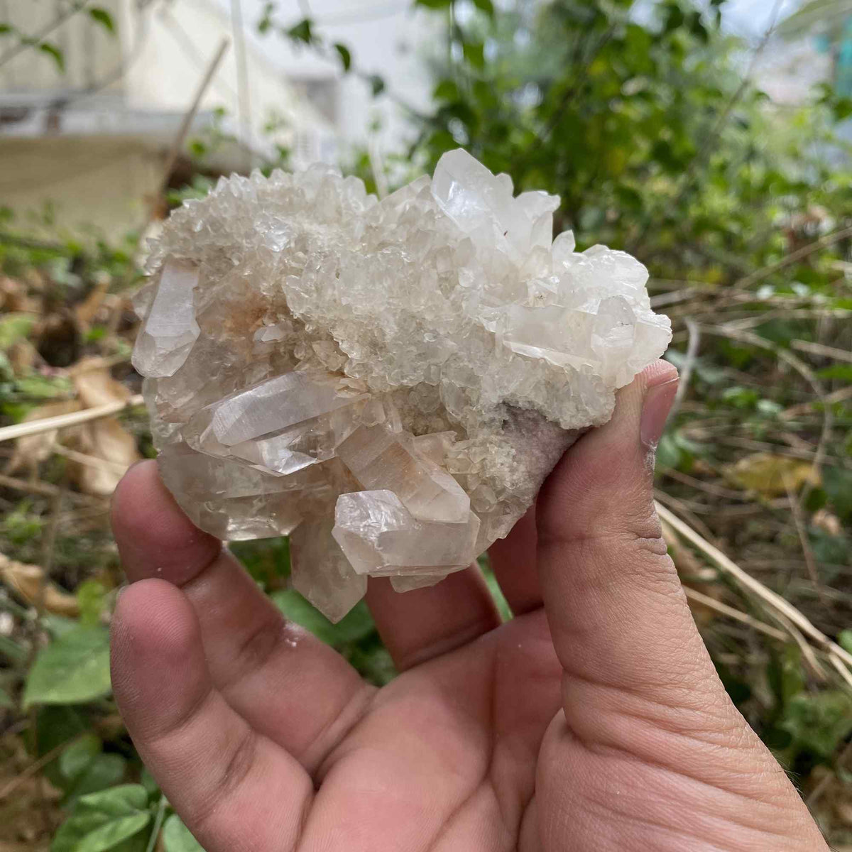Natural Himalayan Pink White Quartz Raw Cluster Mineral Collector Specimen