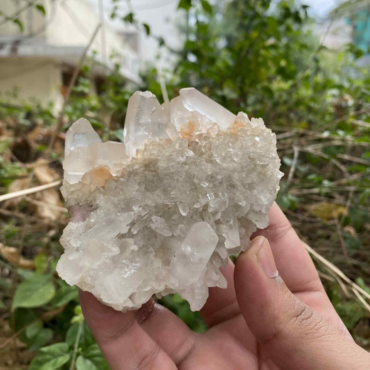 Natural Himalayan Pink White Quartz Raw Cluster Mineral Collector Specimen