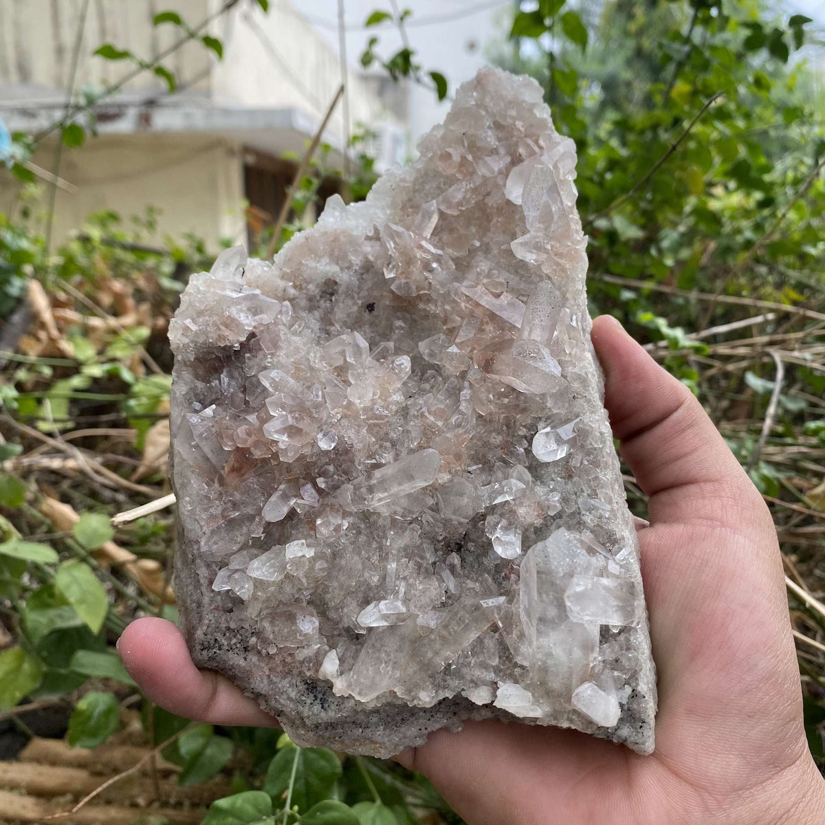 Natural Pink Himalayan Quartz Cluster Display Raw Collector Mineral