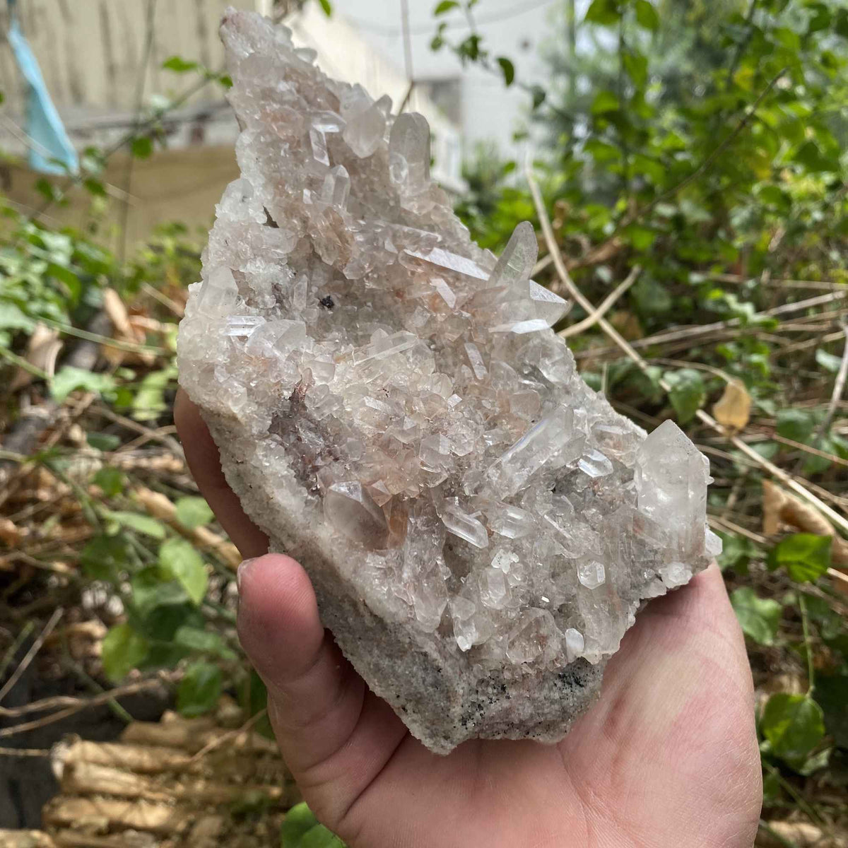 Natural Pink Himalayan Quartz Cluster Display Raw Collector Mineral