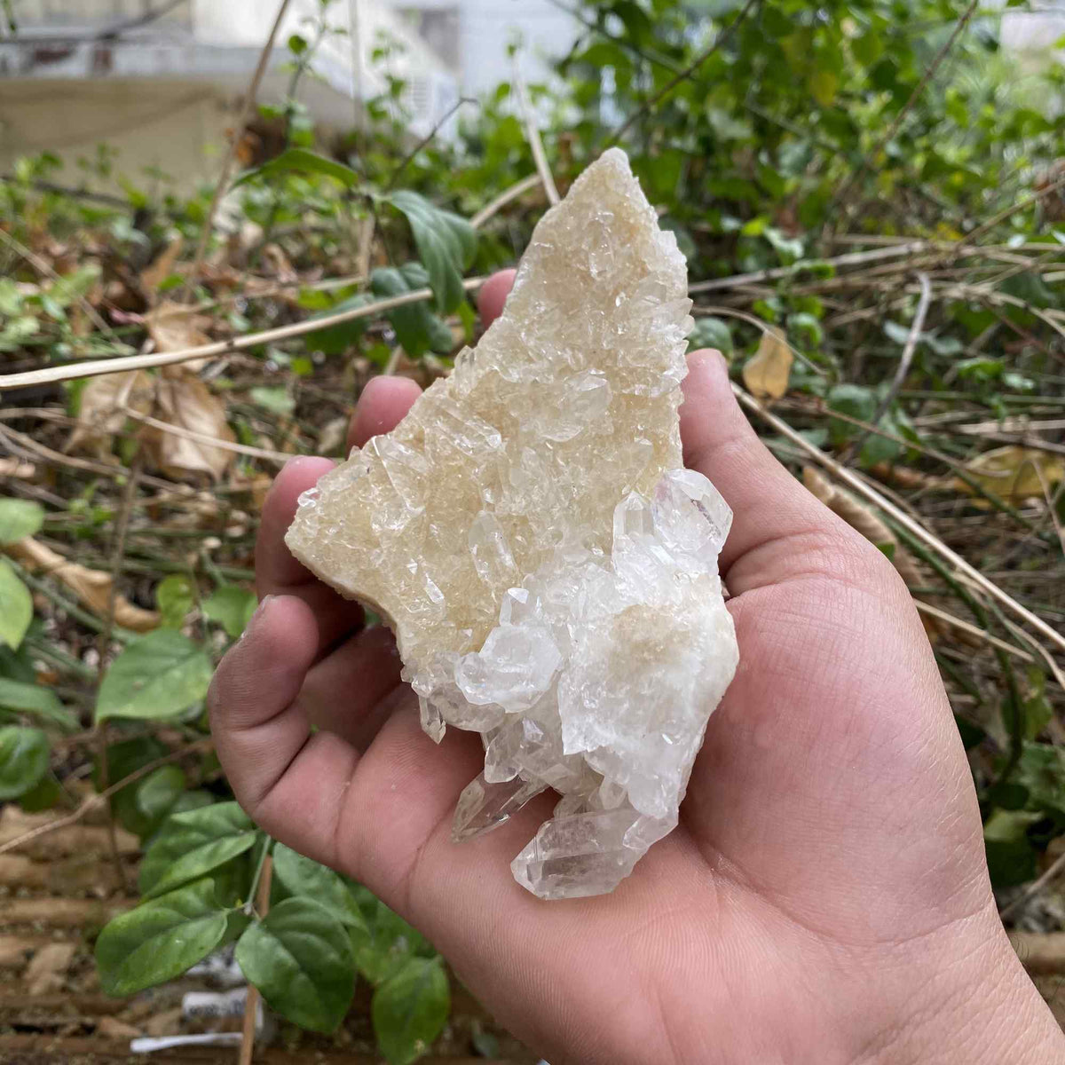 395g Himalayan White Pink Quartz Natural Cluster Mineral Display Specimen