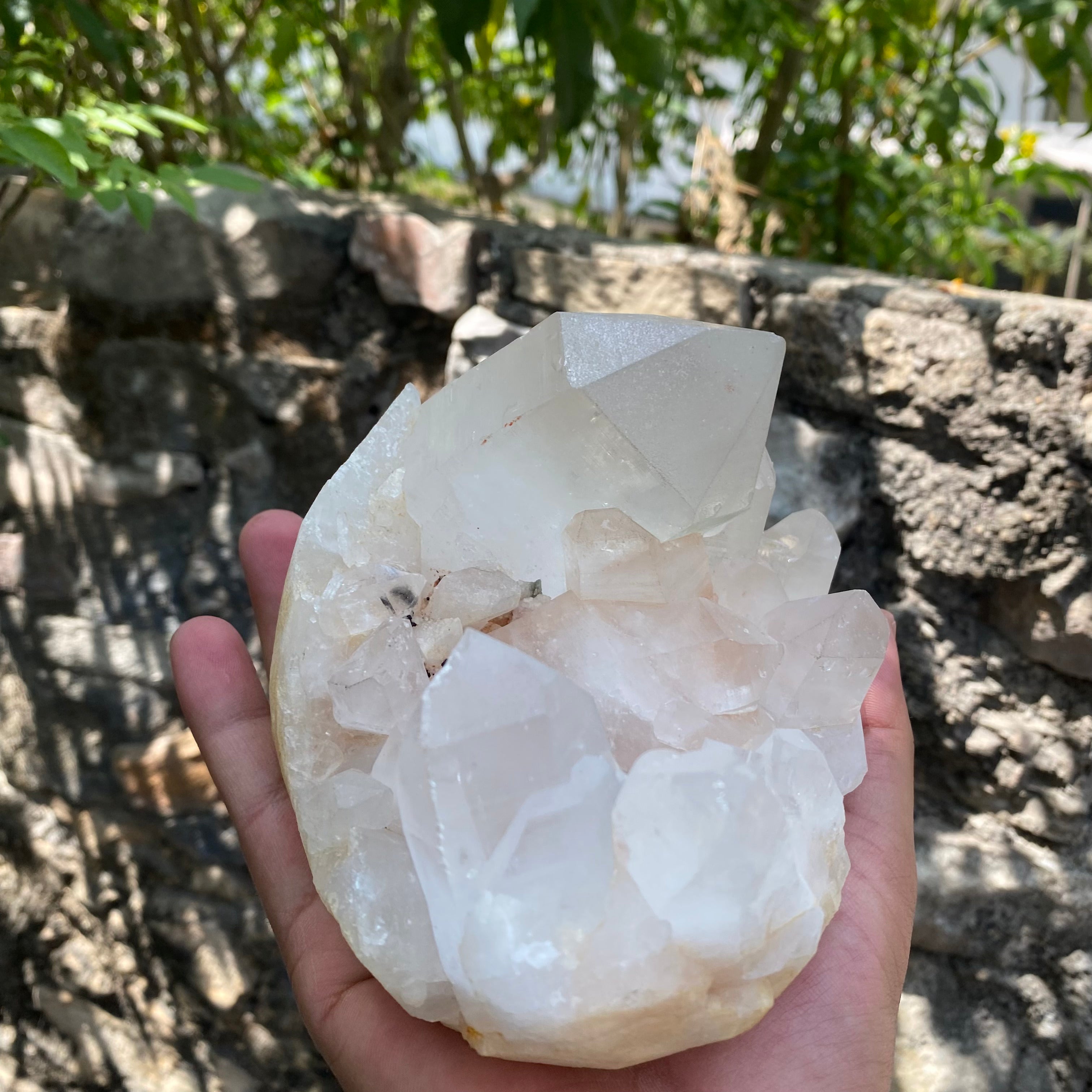 Pink & White Samadhi Quartz Crystal Cluster Healing Energy Himalayan Natural Display