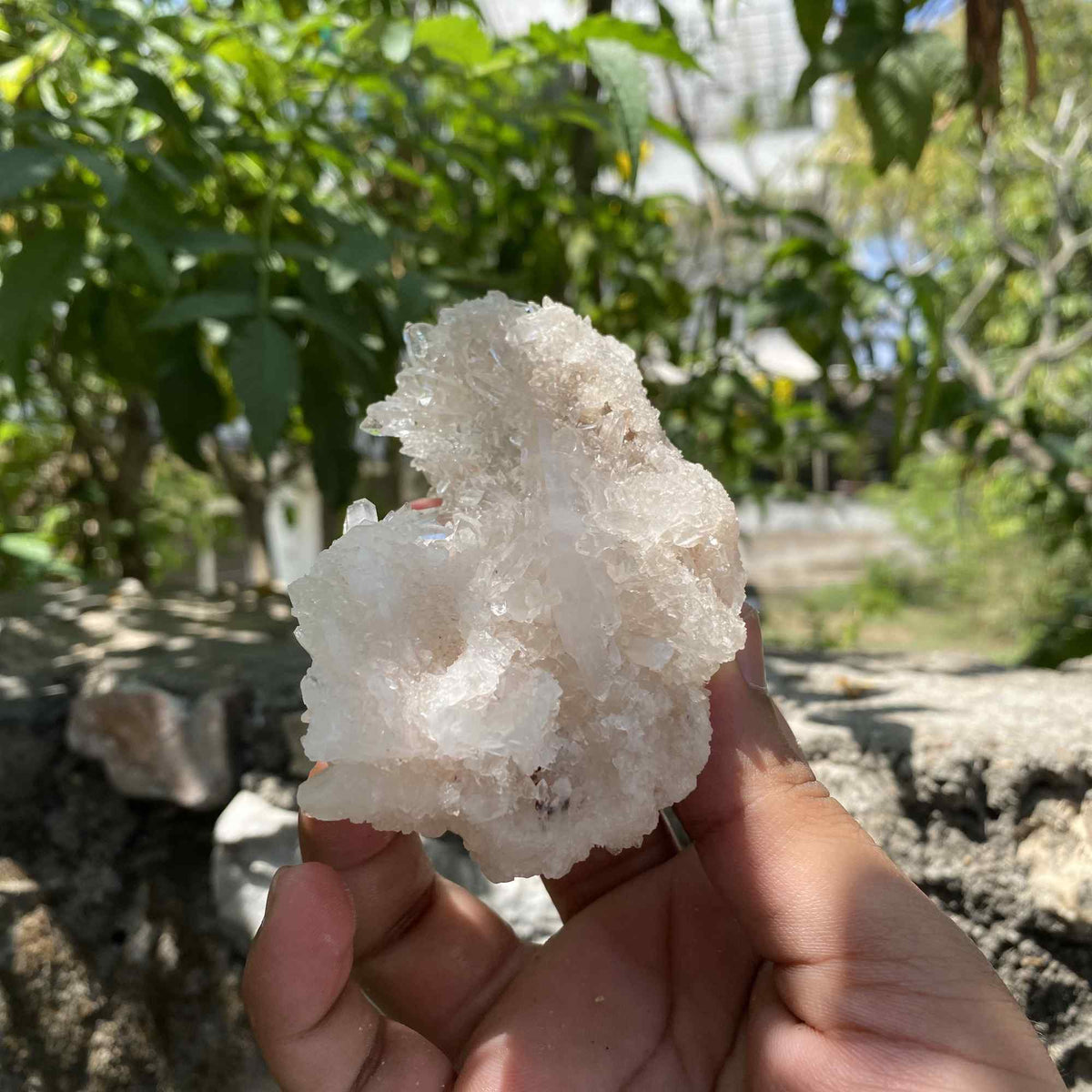 210g White Himalayan Quartz Natural Raw Cluster Collector Piece