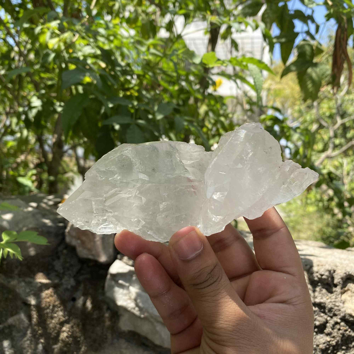 Collector Green Chlorite Himalayan Quartz Natural Raw Mineral Specimen