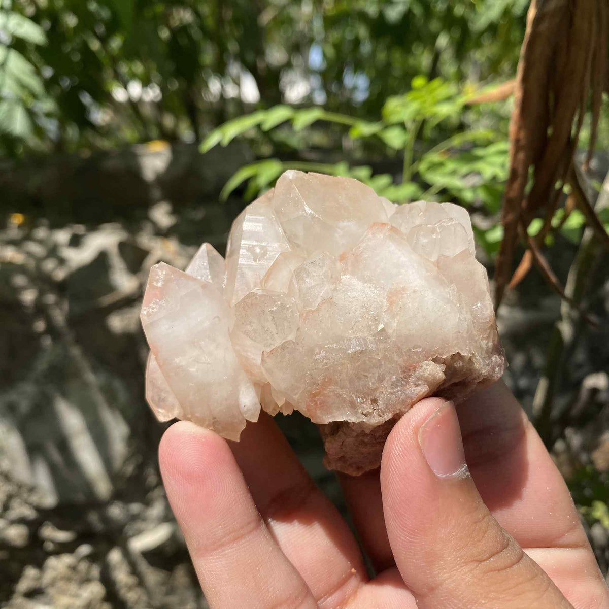 170g Pink Himalayan Quartz Cluster Natural Collector Mineral Piece