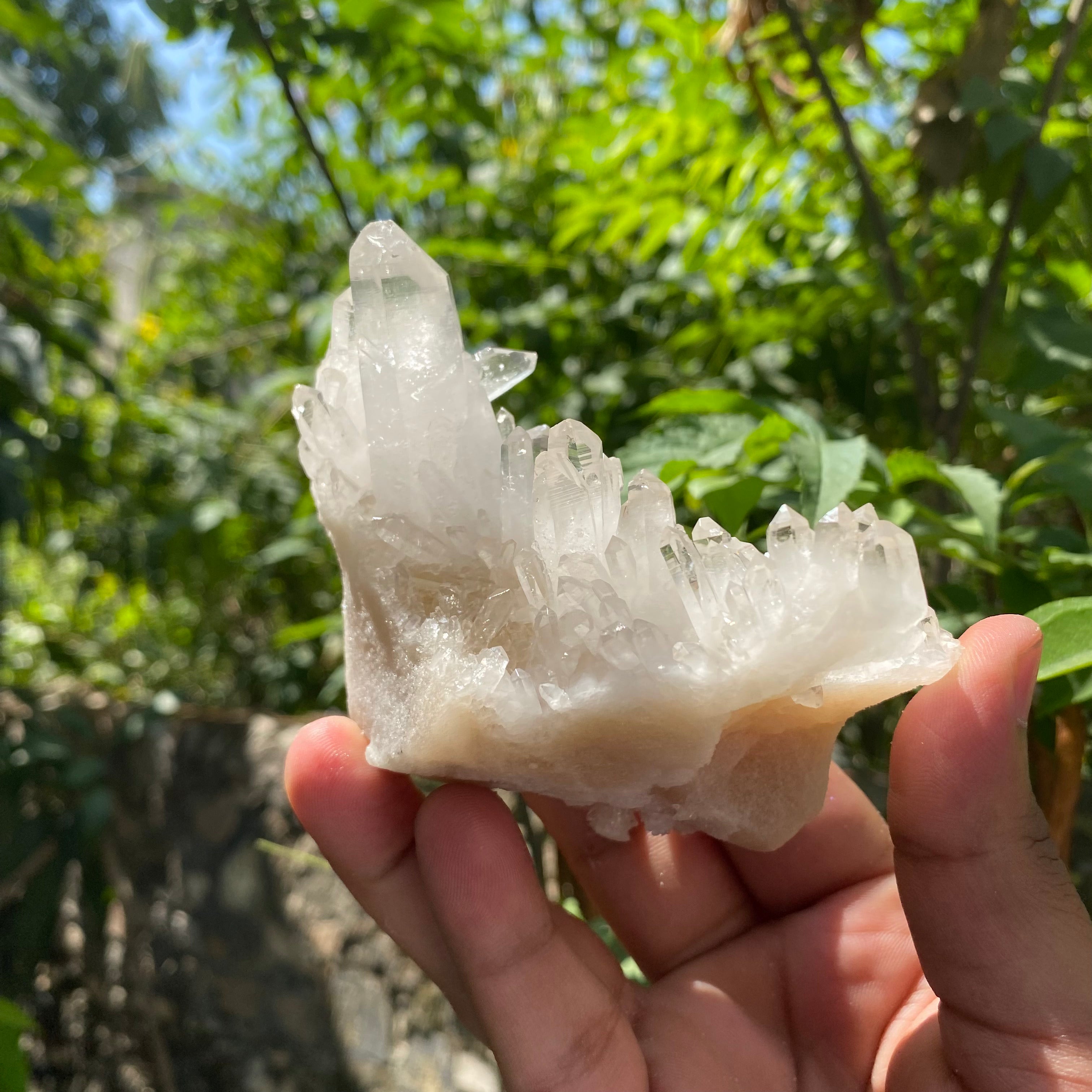 Rare Himalayan Quartz Crystal Cluster Raw Energy Collector Showcase