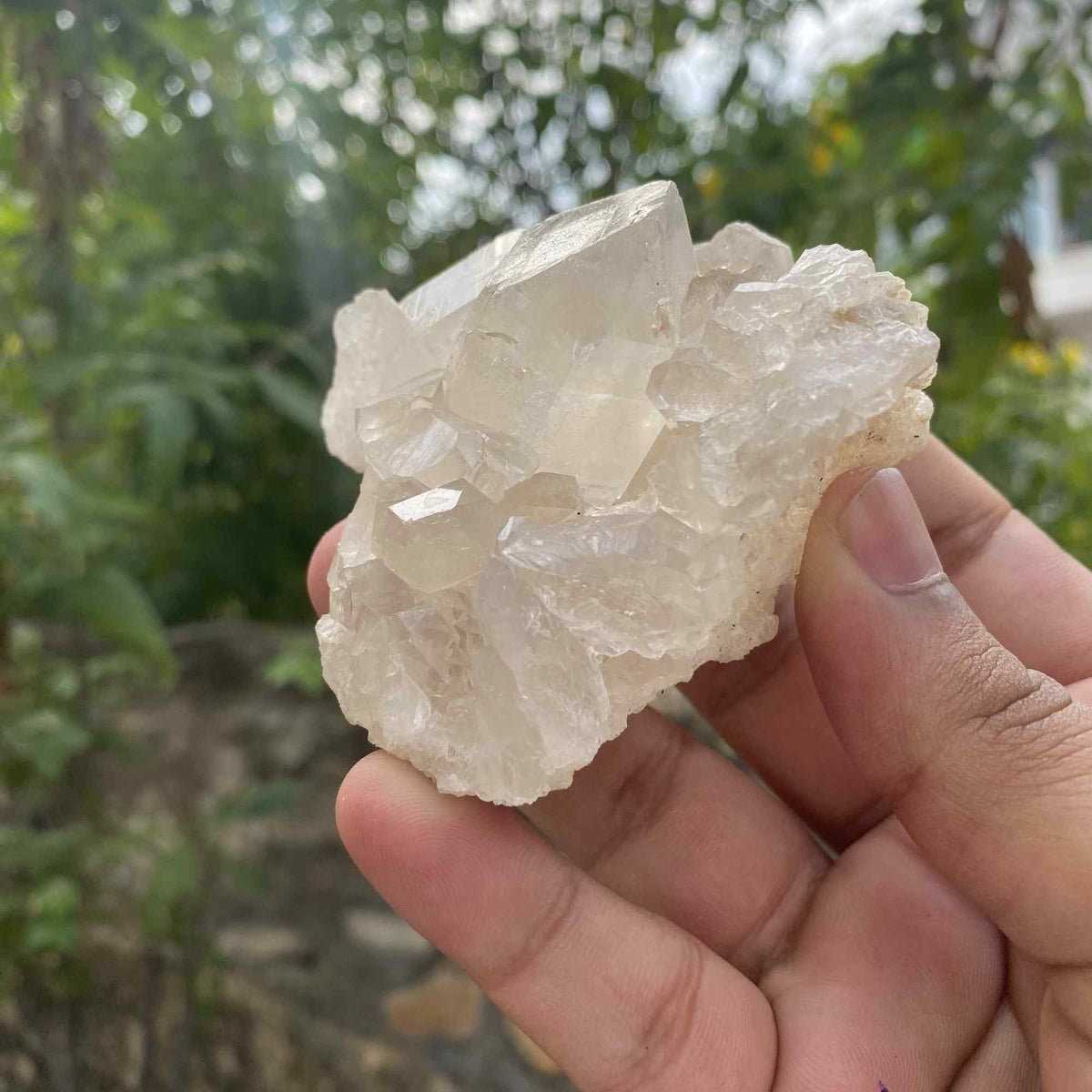 195g White Himalayan Quartz Natural Cluster Raw Collector Mineral