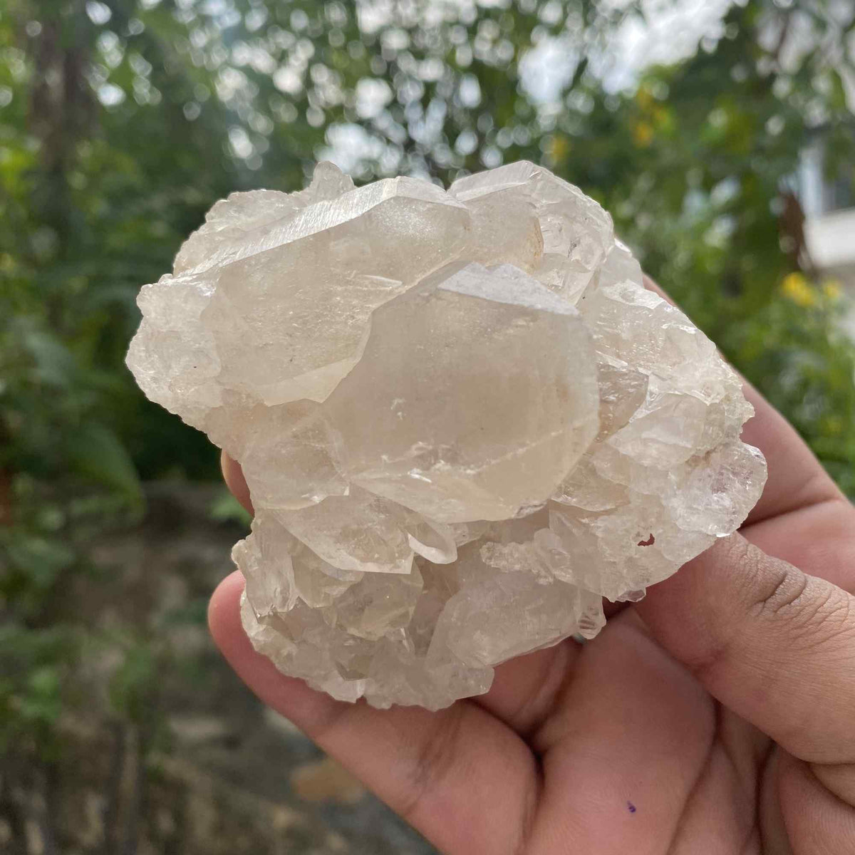 195g White Himalayan Quartz Natural Cluster Raw Collector Mineral