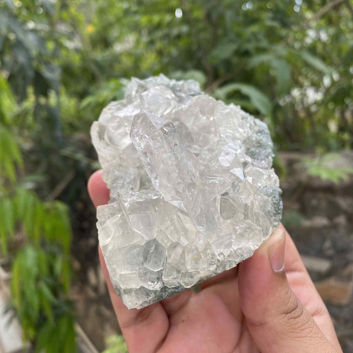 Collector Himalayan Green Chlorite Quartz Cluster Natural Raw Specimen
