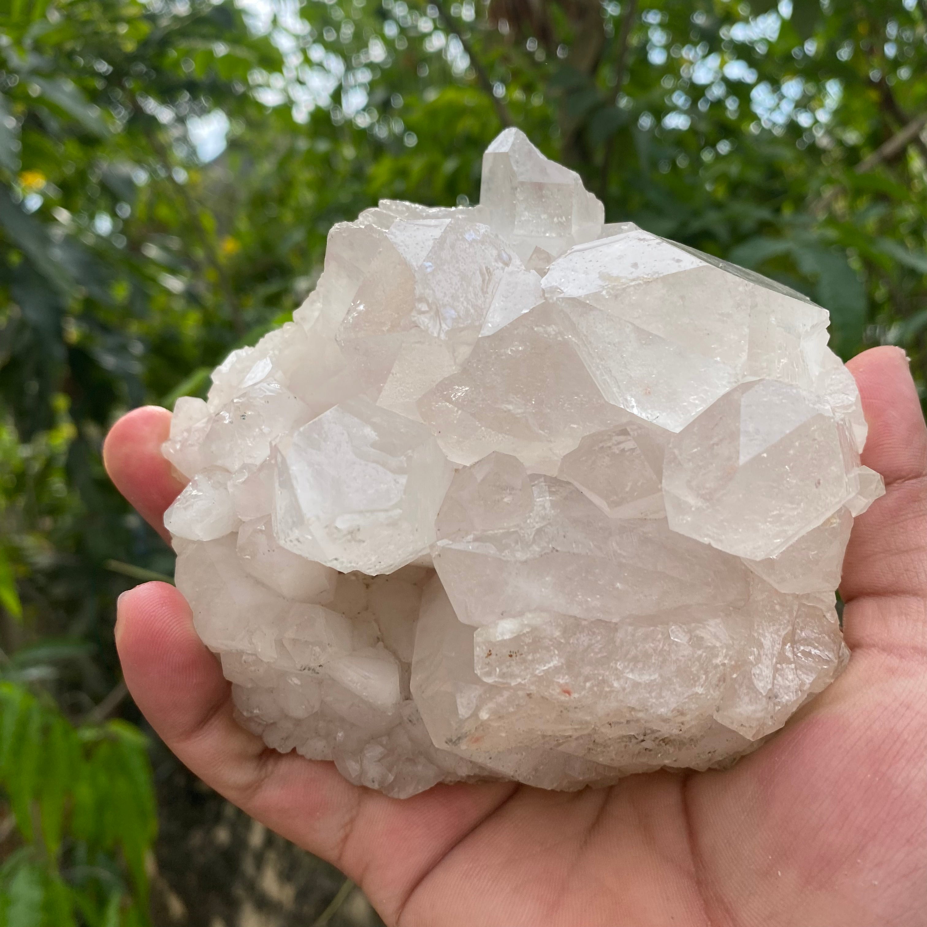 White Quartz Crystal Cluster Himalayan Healing Natural Energy Display Piece
