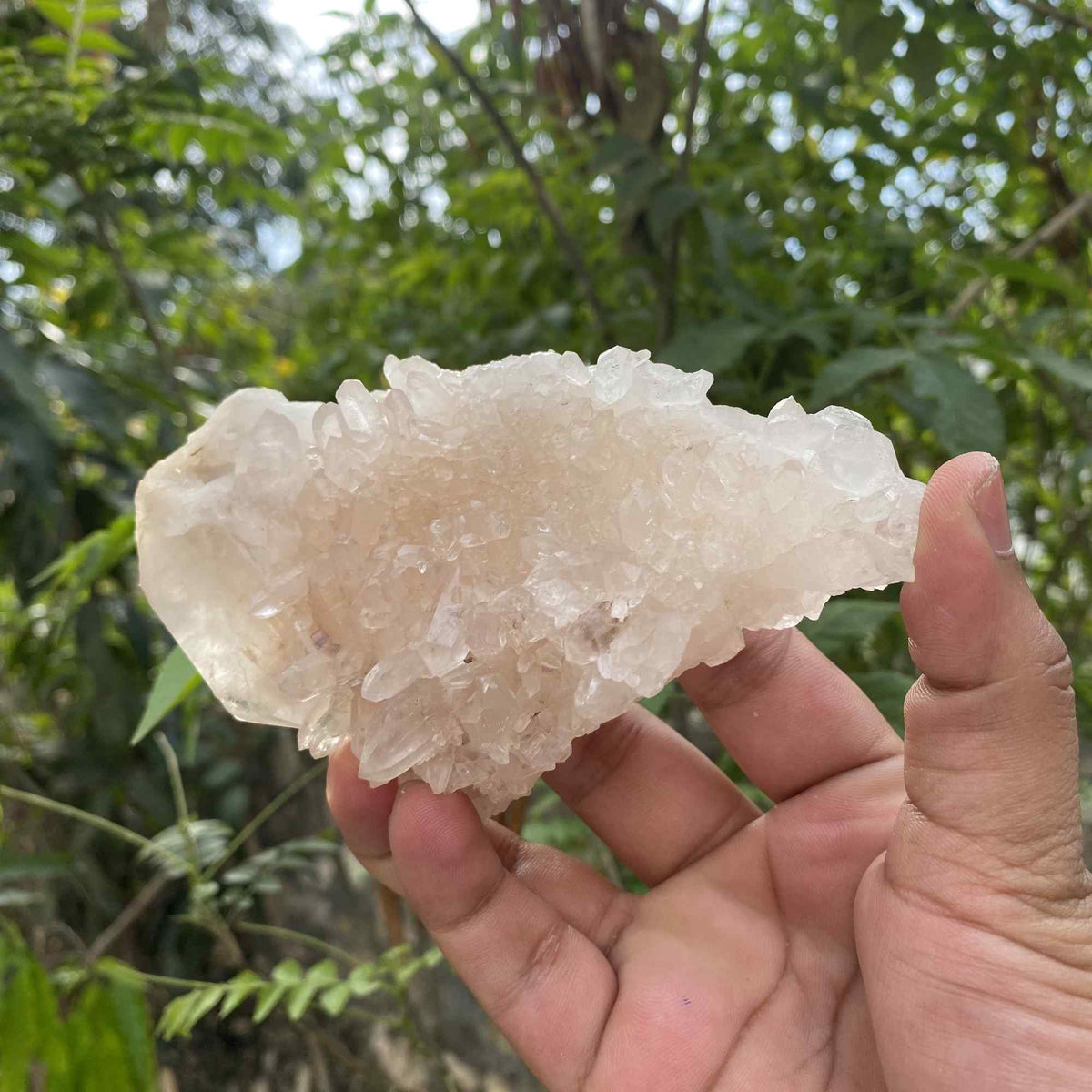Himalayan Pink Quartz Raw Display Natural Cluster Collector Mineral