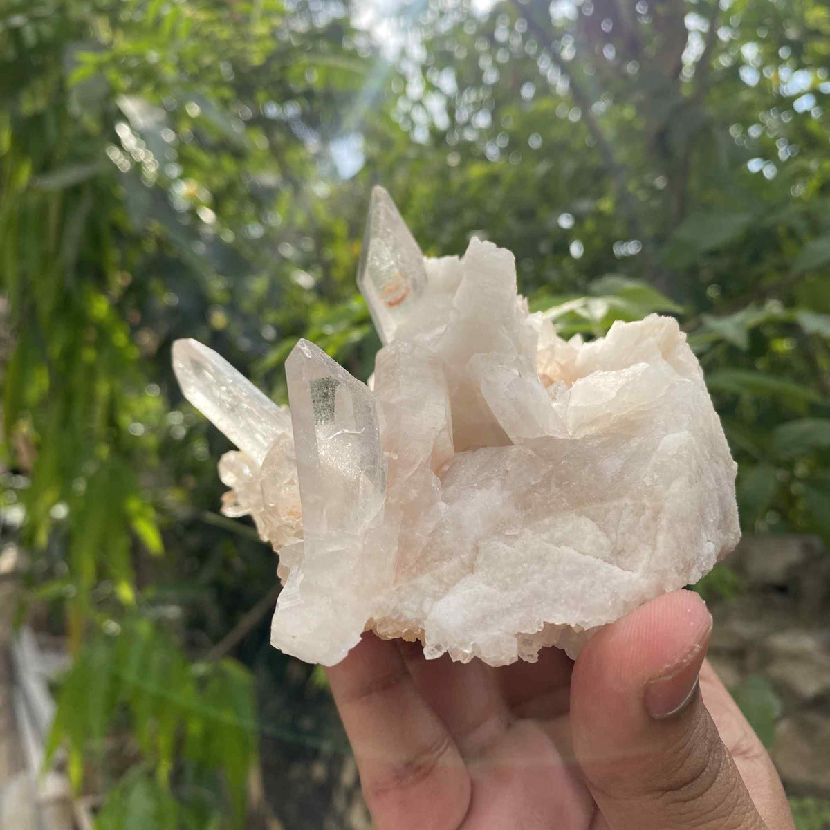 Pink Quartz Collector Natural Himalayan Cluster Raw Display Specimen