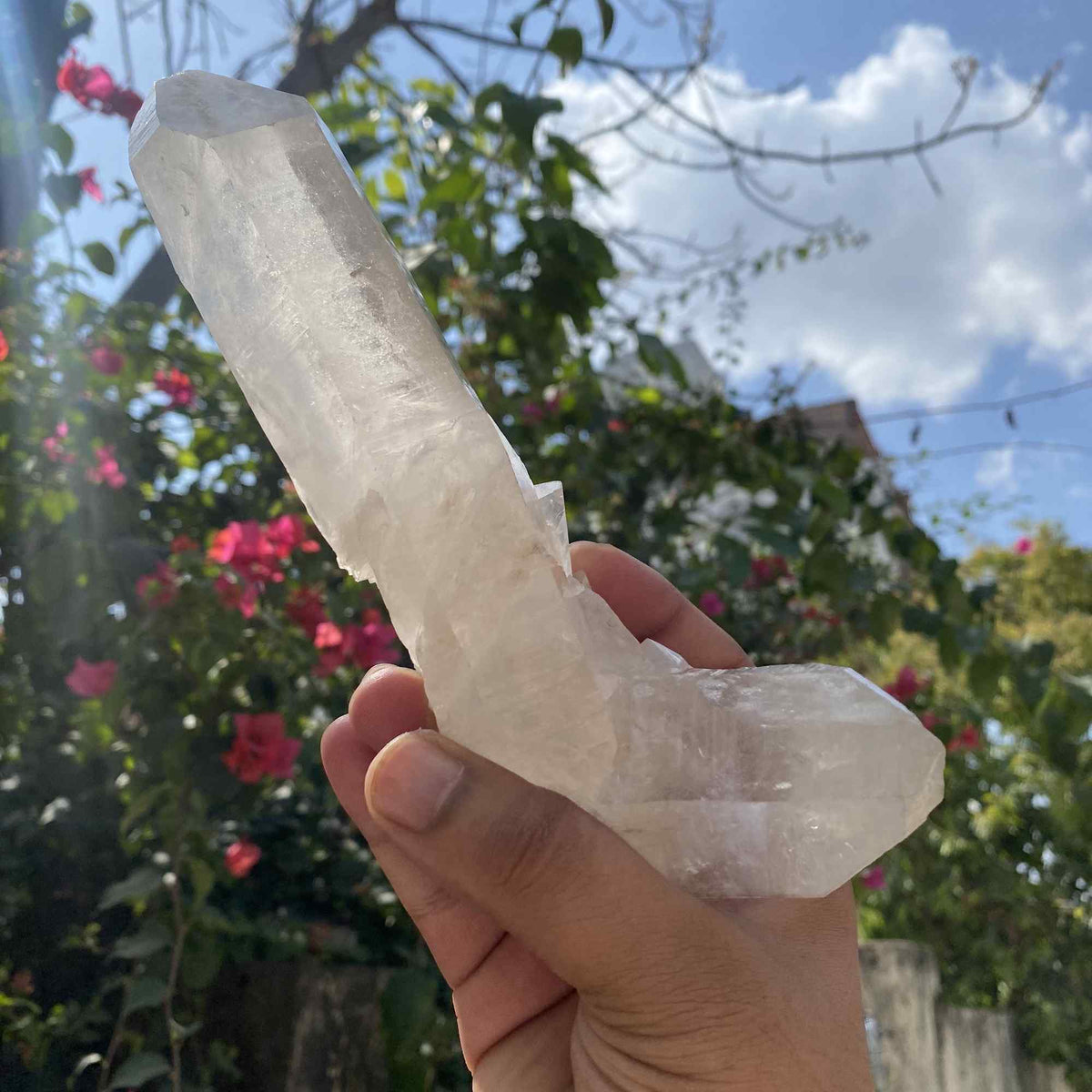 Himalya Quartz white quartz crystal cluster with natural energy, Himalayan healing stone display on a white background