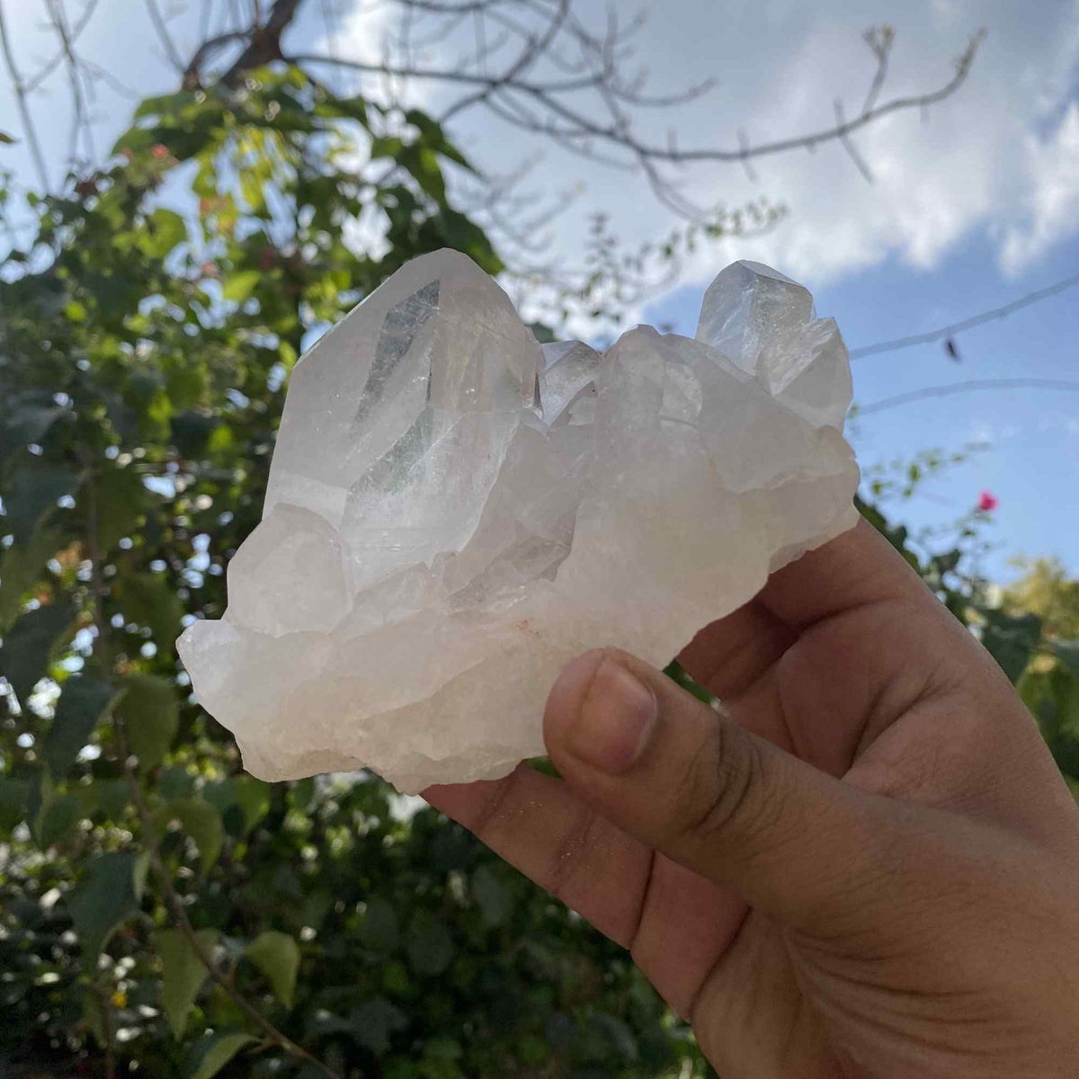 Natural White Quartz Collector Himalayan Cluster Display Raw Mineral