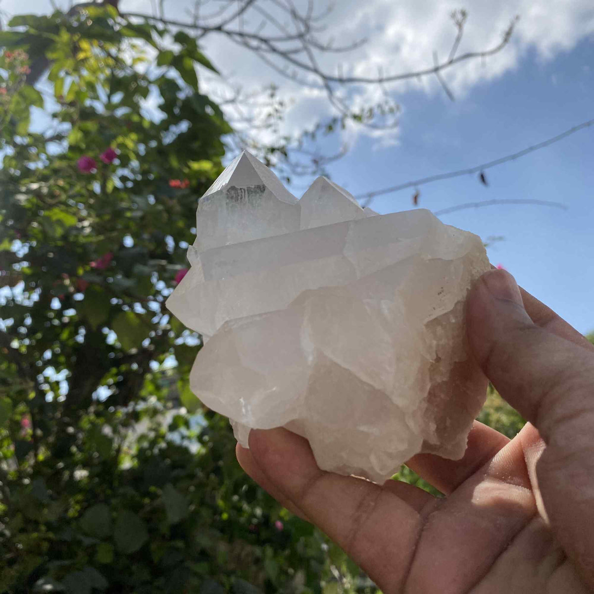Display White Quartz Himalayan Natural Cluster Collector Raw Specimen