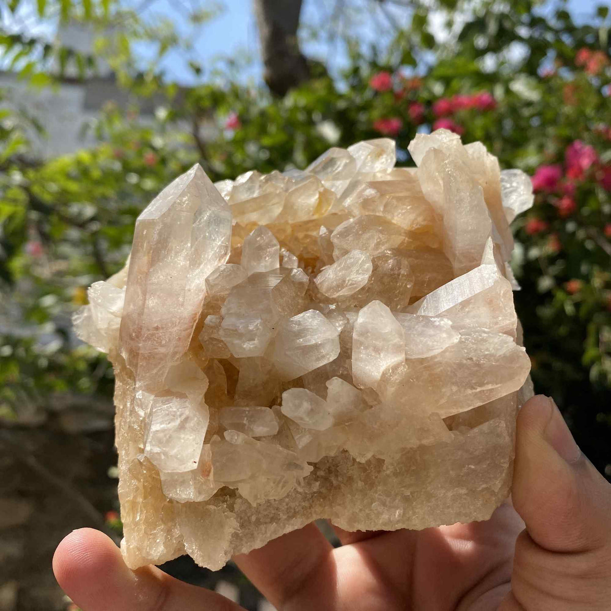 Yellow Quartz Himalayan Cluster 650g Natural Mineral Display Specimen
