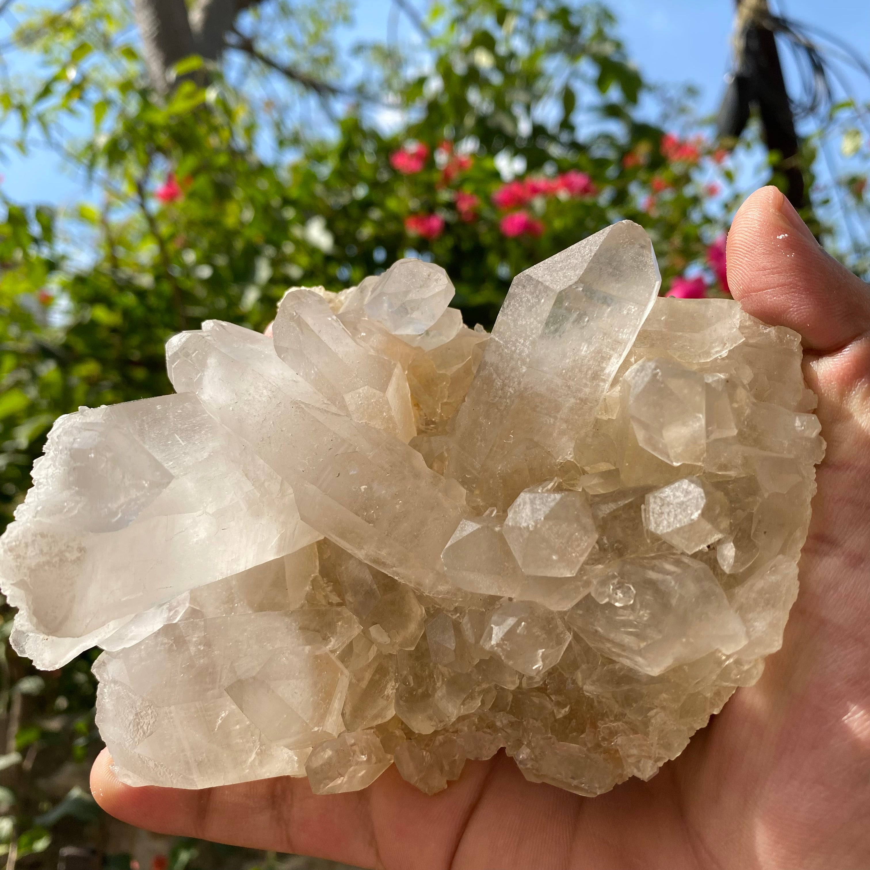 Golden Healer Quartz Cluster: 640gm Manikaran Healing Crystal