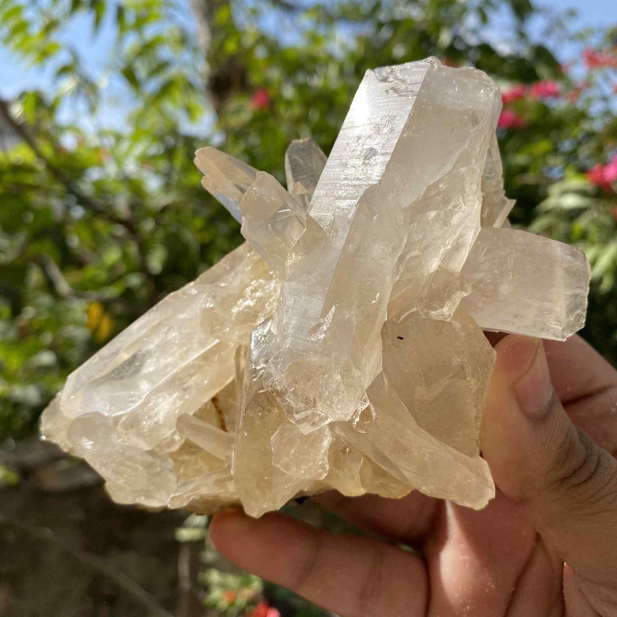 Yellow Himalayan Quartz Cluster 395g Raw Natural Display Specimen