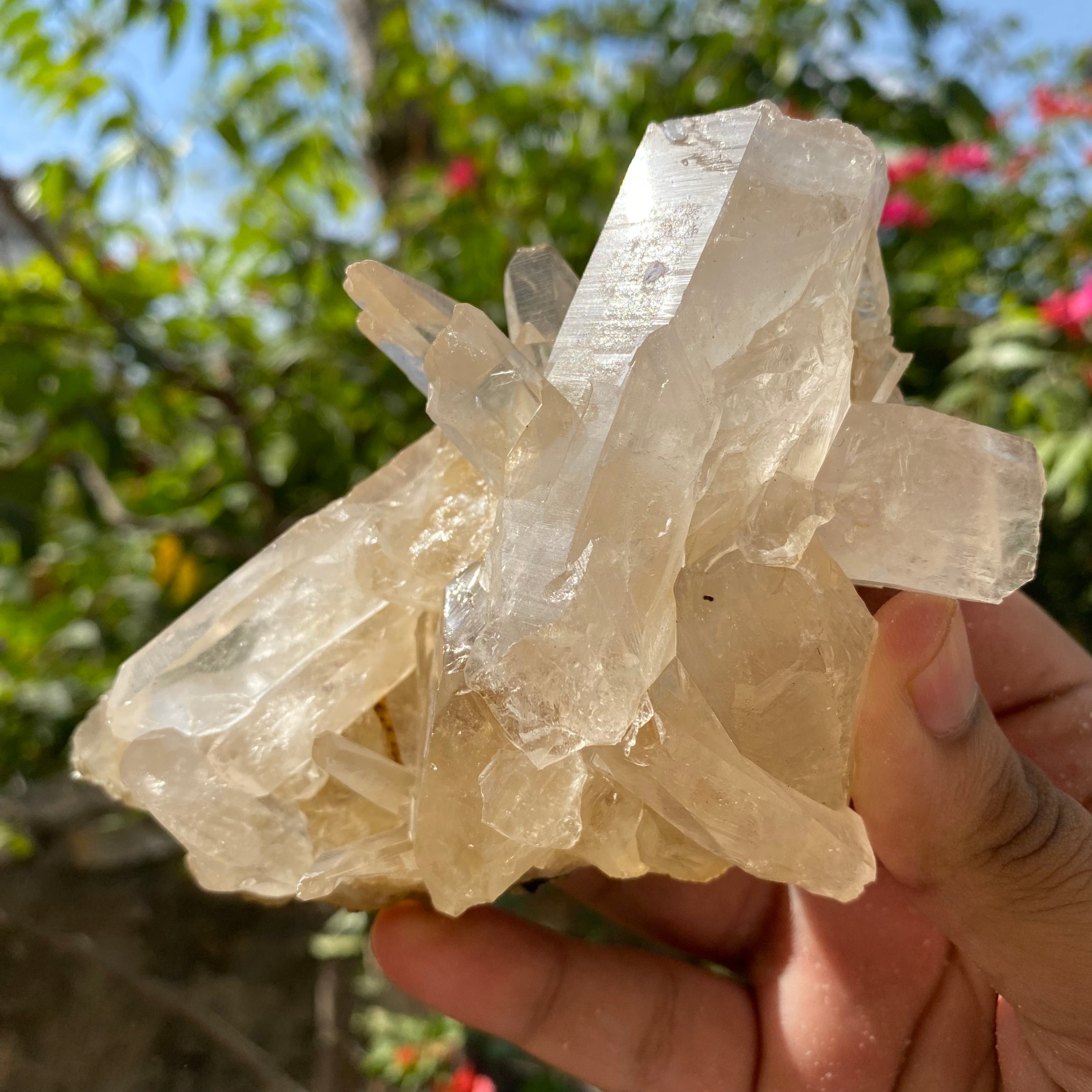 Golden Healer Quartz Crystal: Raw Yellow Mineral Specimen, Home Decor 395gm
