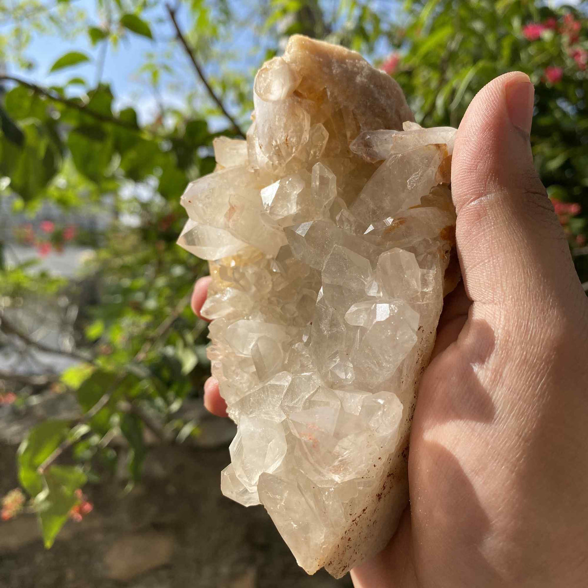 545g Himalayan Yellow Quartz Natural Cluster Mineral Display Specimen