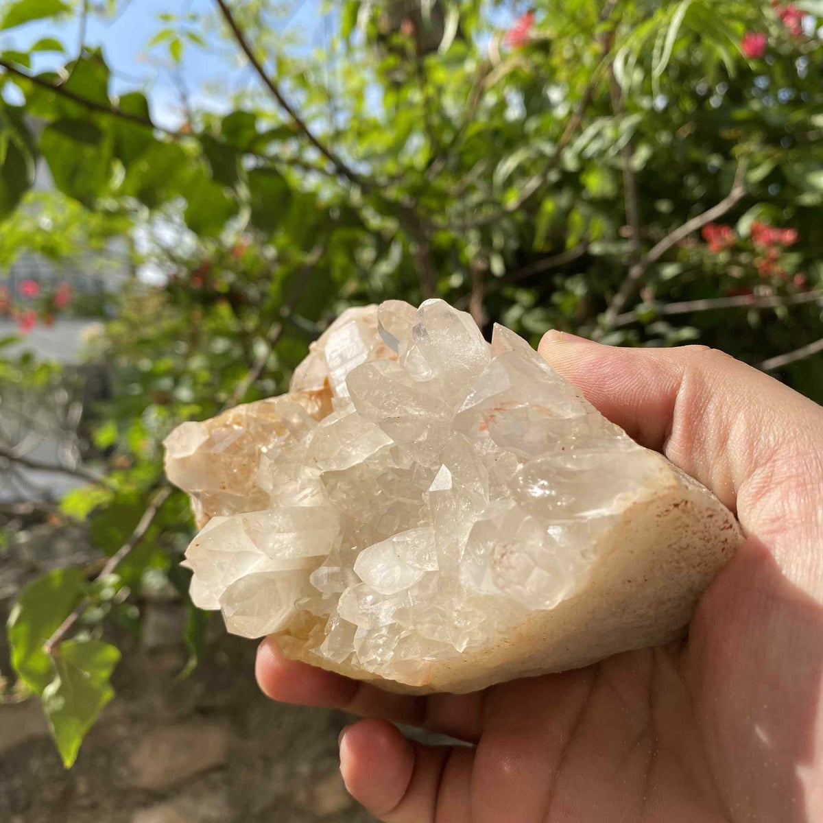 545g Himalayan Yellow Quartz Natural Cluster Mineral Display Specimen