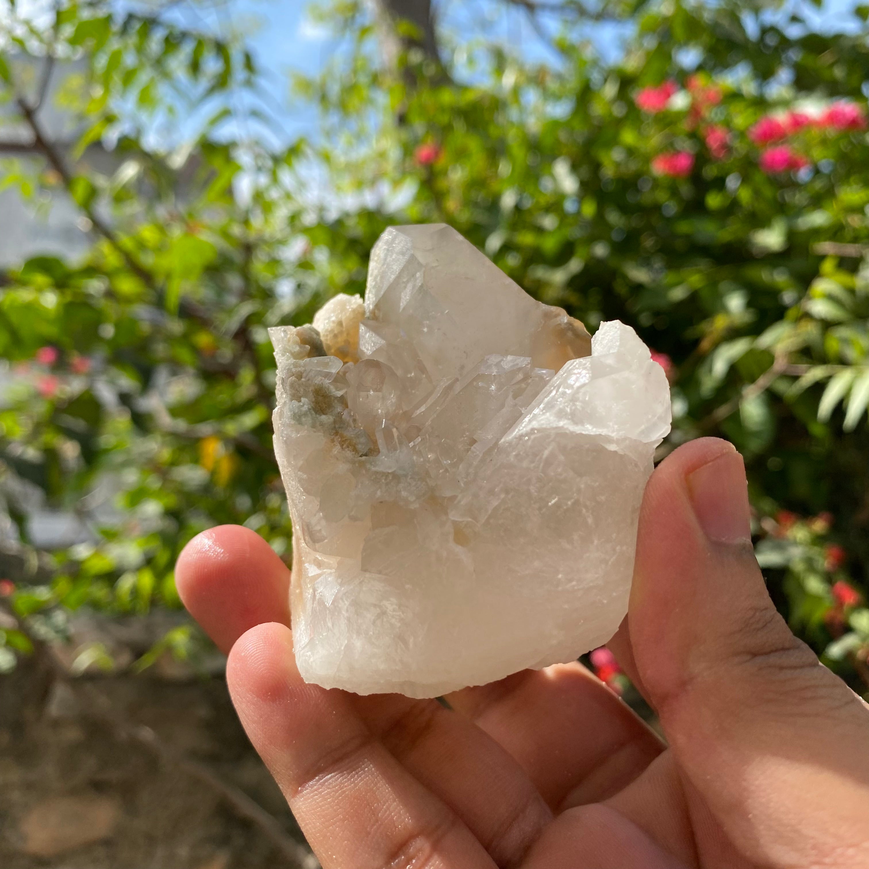 Natural Yellow Samadhi Quartz Cluster Himalayan Crystal Raw Healing Mineral Display