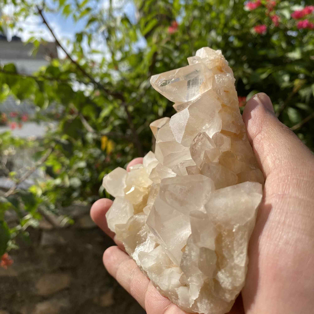 Natural yellow Himalayan Quartz crystal, 455g Golden Healer Samadhi rough stone from Himalya Quartz, showcasing its vibrant yellow hue.