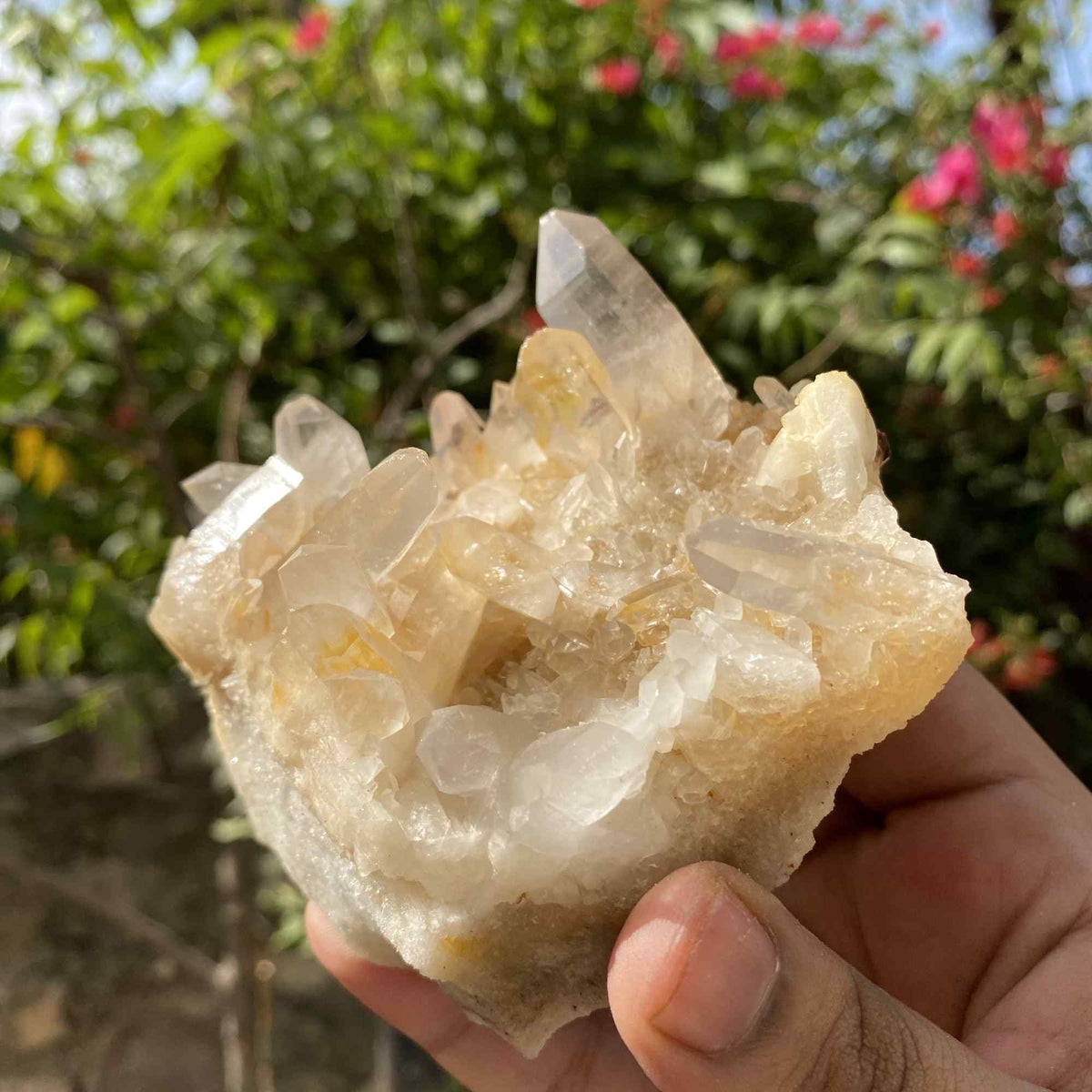 340g Natural Yellow Himalayan Quartz Cluster Display Mineral Specimen