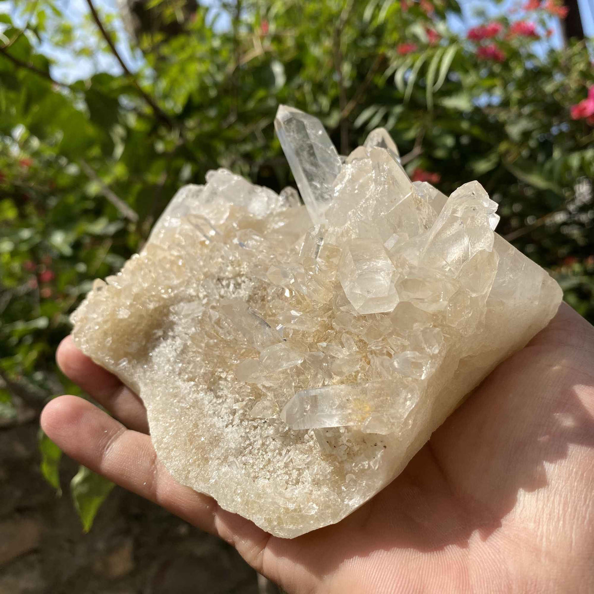 Natural Himalayan Yellow Quartz 1015g Cluster Raw Collector Piece