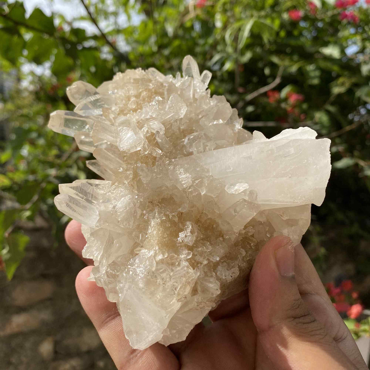 Natural Yellow Himalayan Quartz Raw Cluster Mineral Display Piece