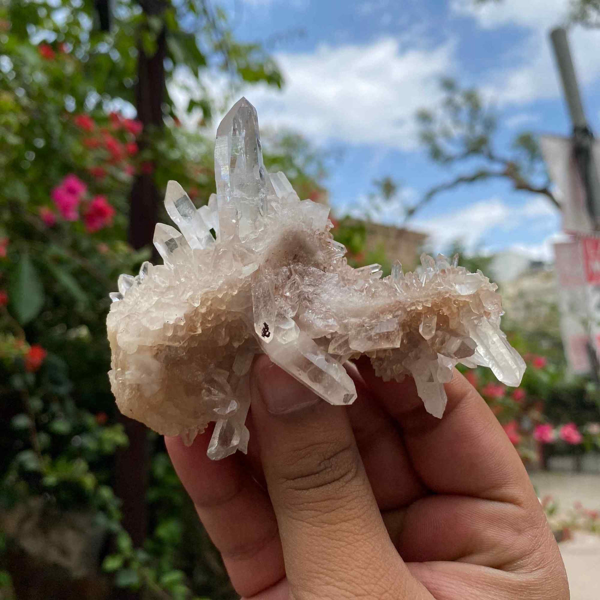 White Himalayan Quartz Crystal Cluster Decor Healing Display Energy Natural