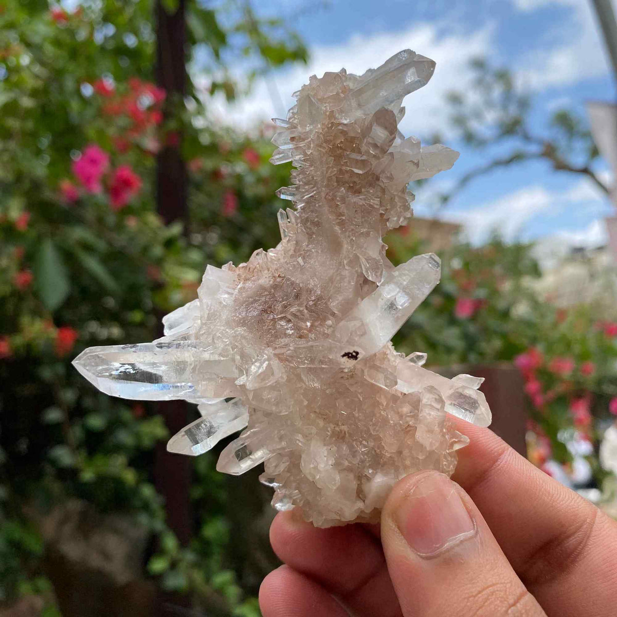 White Himalayan Quartz Crystal Cluster Decor Healing Display Energy Natural