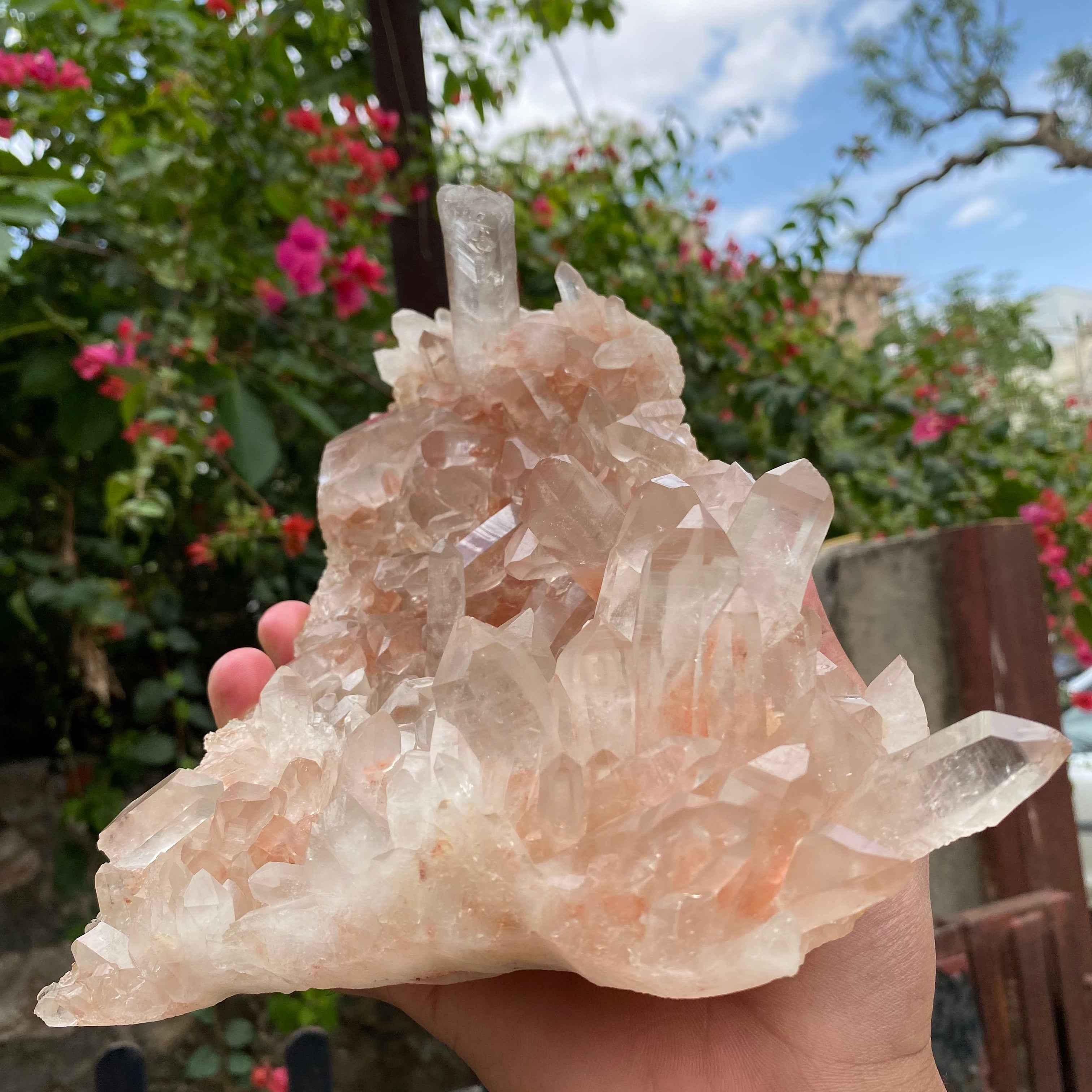 Pink Samadhi Quartz Crystal Cluster Healing Energy Himalayan Display Stone