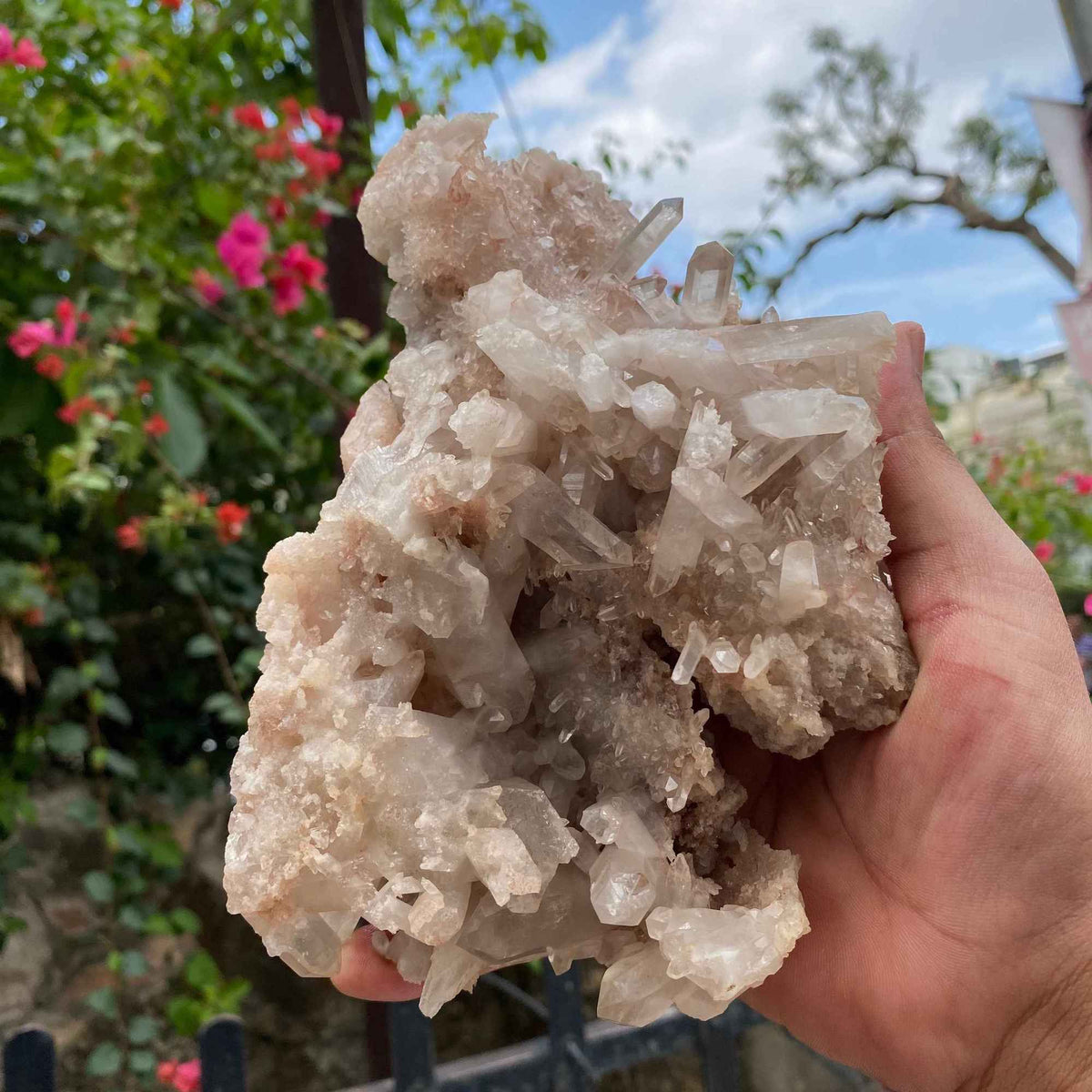 Pink Quartz Crystal Cluster Raw Himalayan Healing Energy Display Natural