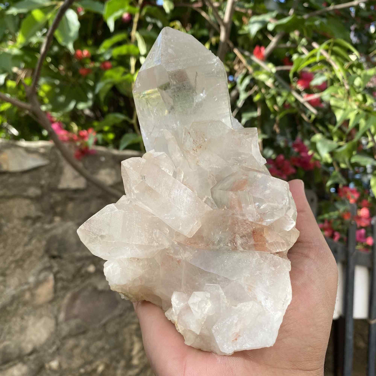 Natural Pink Himalayan Quartz Raw Cluster Display Collector Specimen