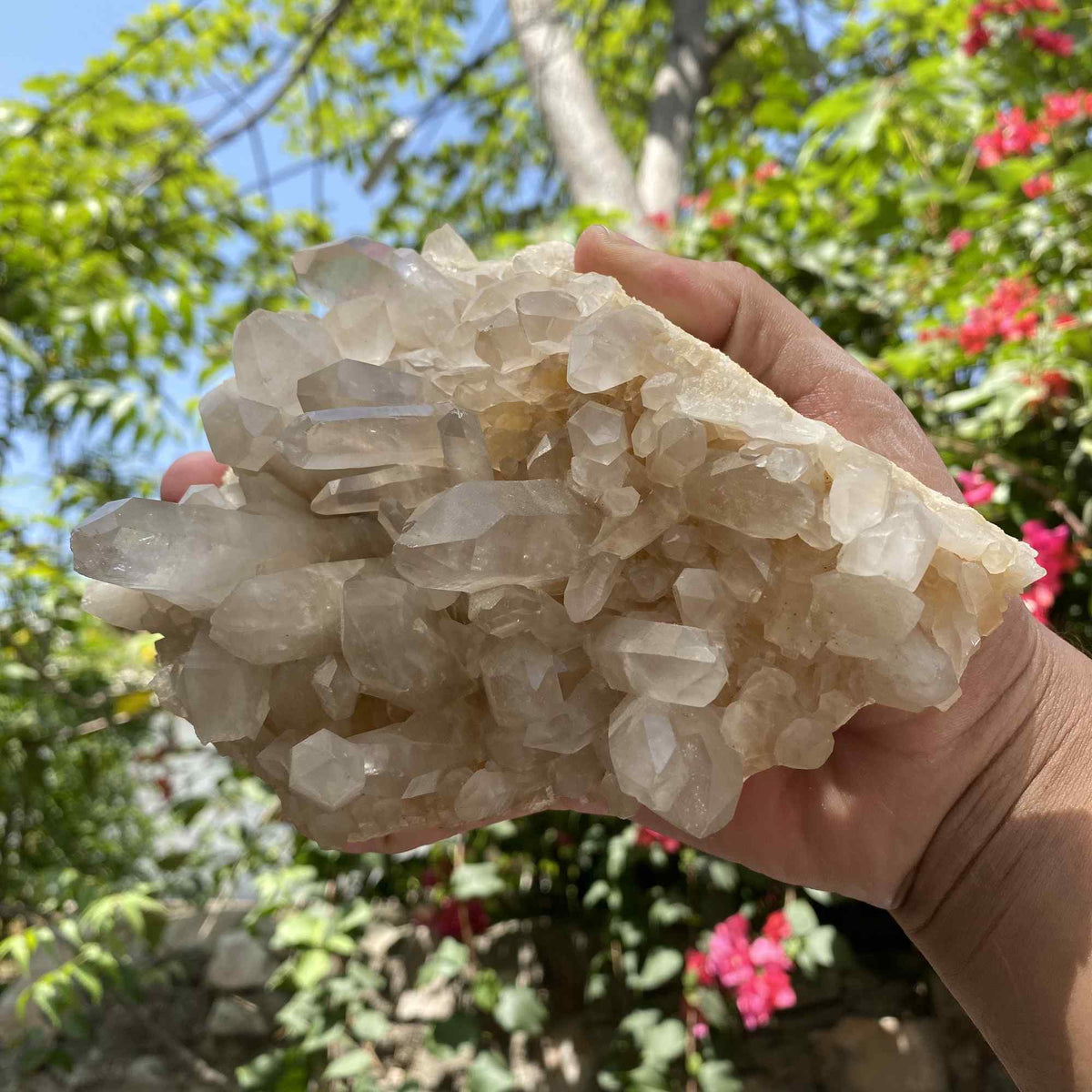 White Quartz Himalayan Collector Natural Cluster Raw Mineral Display