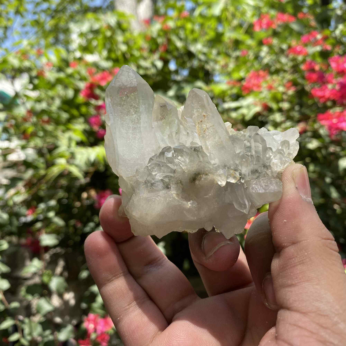 Green Chlorite Quartz Himalayan Natural Cluster Display Collector Specimen