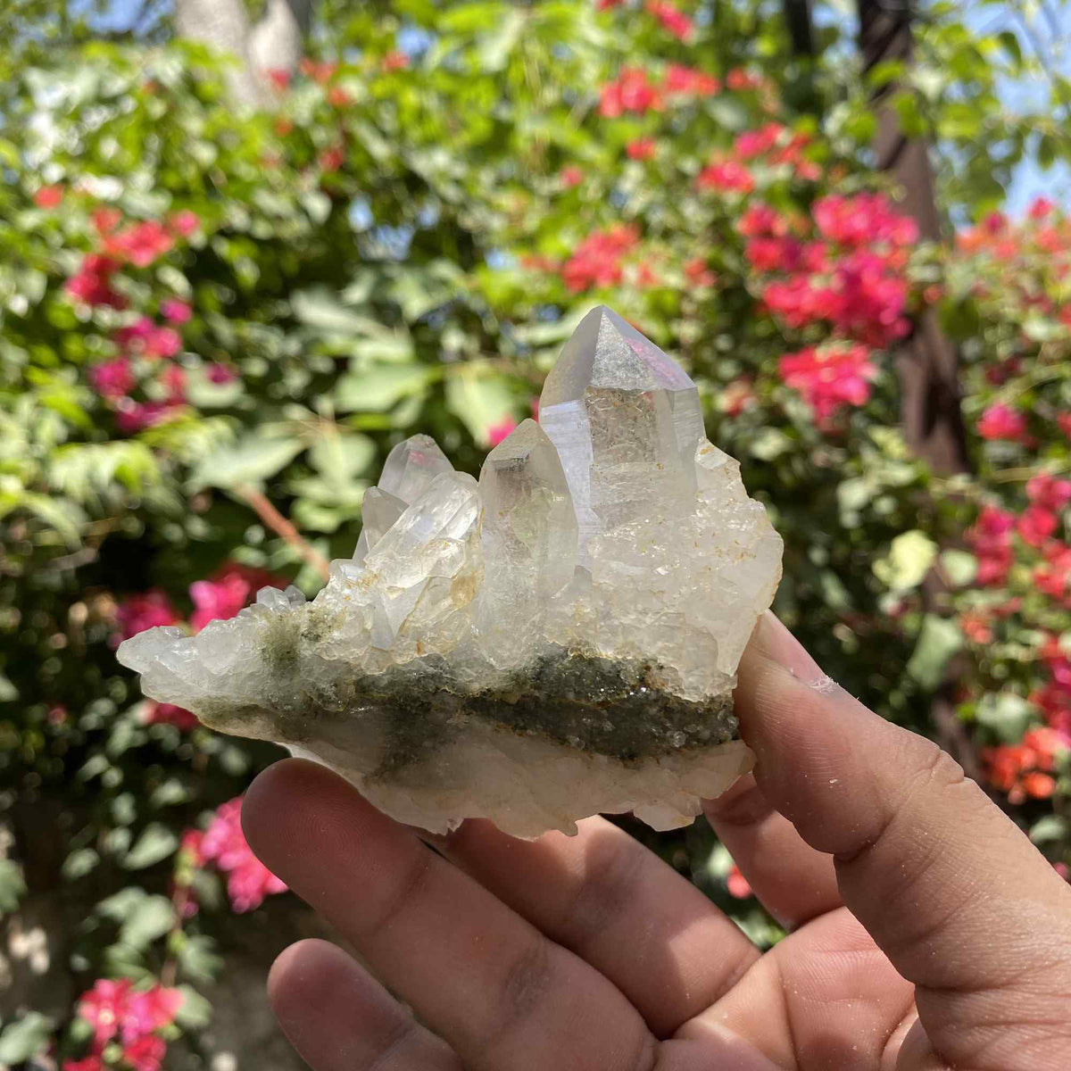 Green Chlorite Quartz Himalayan Natural Cluster Display Collector Specimen