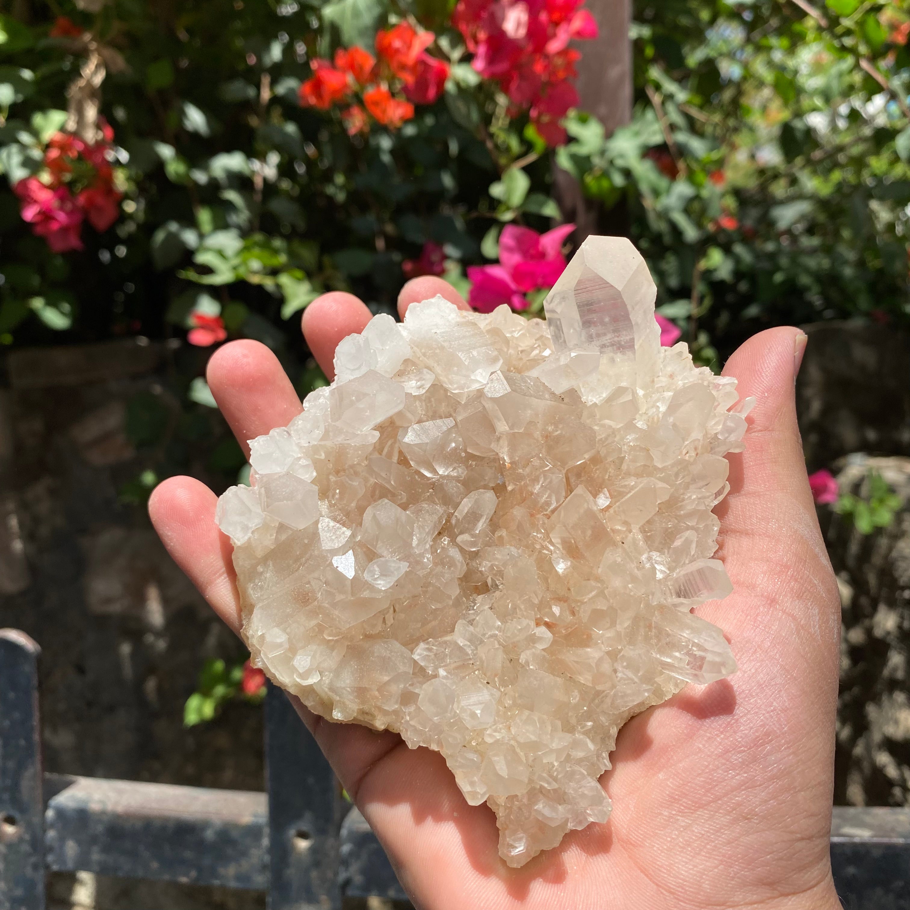 Natural Himalayan Pink Quartz Crystal Cluster with White Phantom Healing Energy Specimen